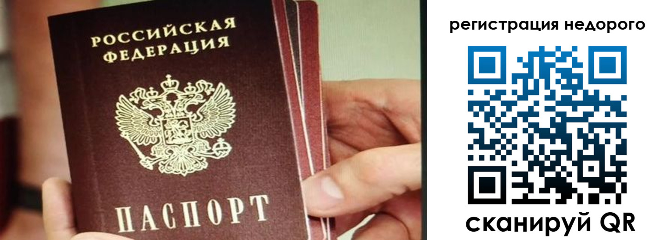 прописка в квартире в Лесном
